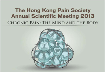 Pain Scientific Meeting 2013